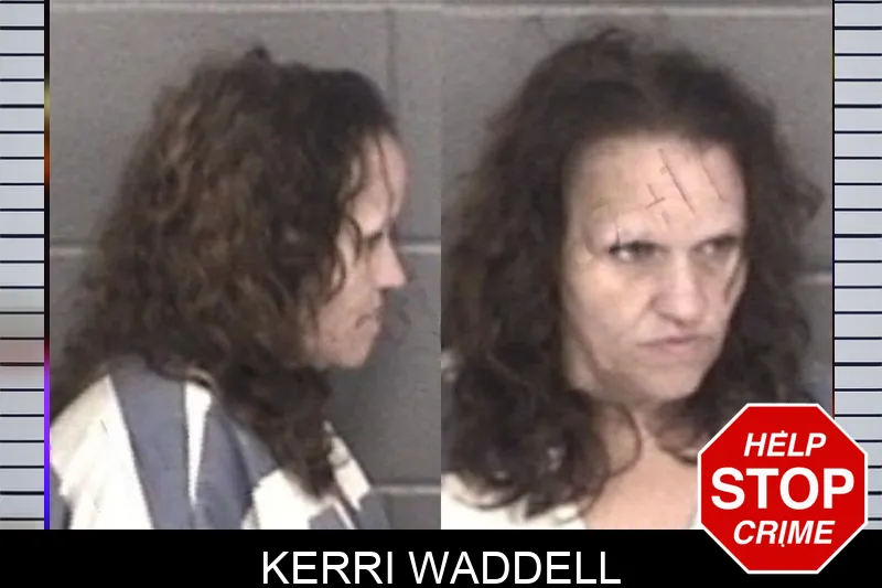 Kerri Waddell mugshot – Barrow County , Georgia Kerri Waddell mugshot