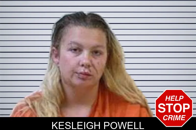 Kesleigh Powell mugshot – Polk County , Georgia Kesleigh Powell mugshot