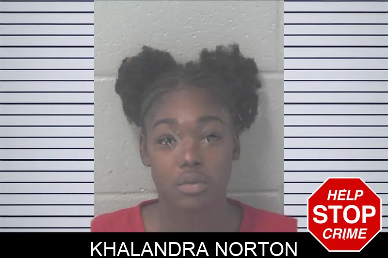 Khalandra Norton mugshot – Newton County , Georgia Khalandra Norton mugshot