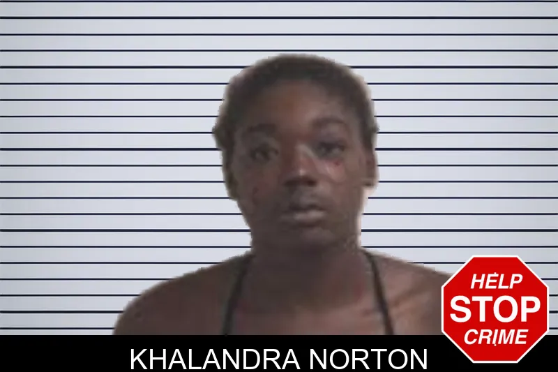 Khalandra Norton mugshot