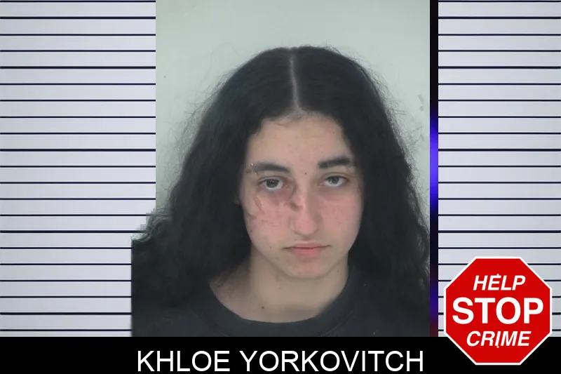 Khloe Yorkovitch mugshot – Fayette County , Georgia Khloe Yorkovitch mugshot