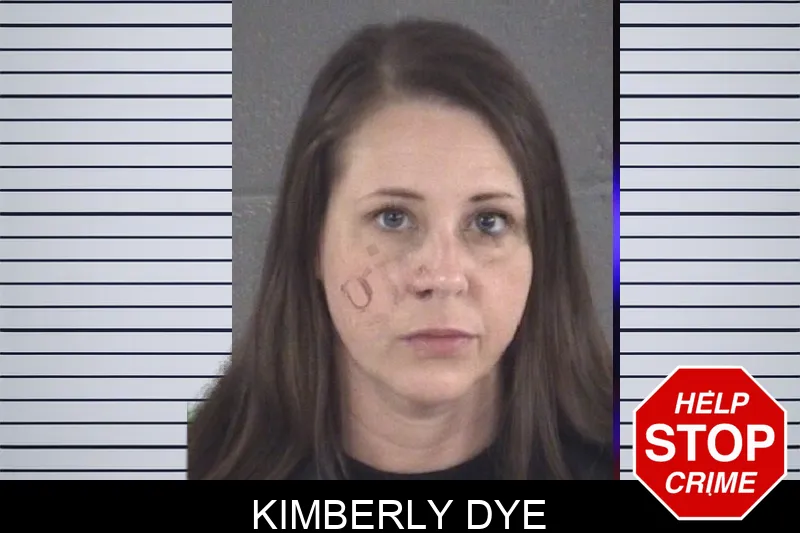 Kimberly Dye mugshot