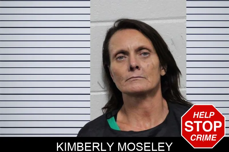 Kimberly Moseley mugshot – Habersham County , Georgia Kimberly Moseley mugshot