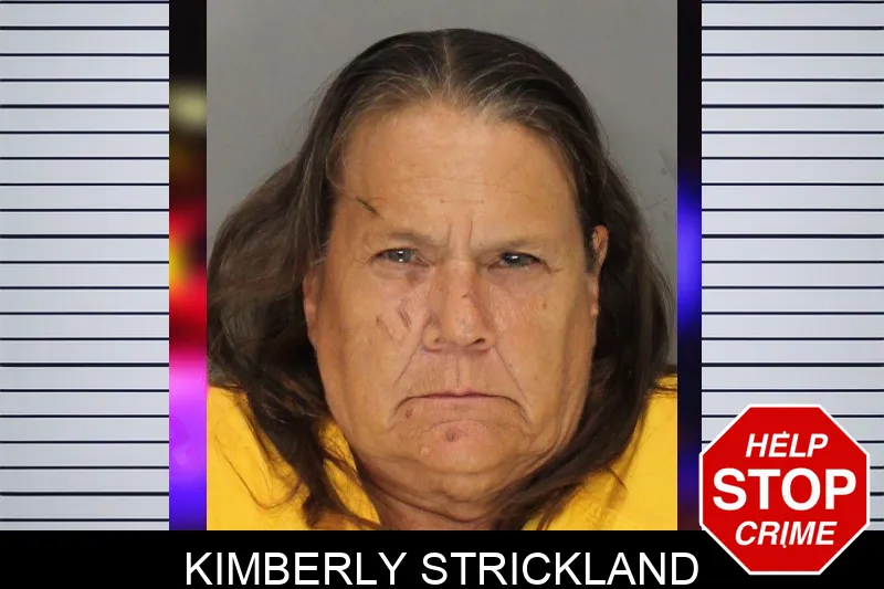 Kimberly Strickland mugshot