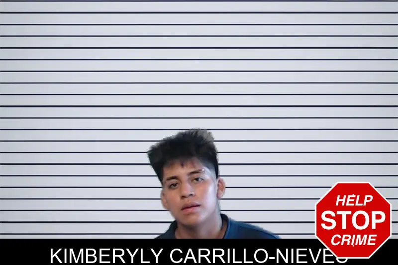 Kimberyly Carrillo-Nieves mugshot – DeKalb County , Georgia Kimberyly Carrillo-Nieves mugshot