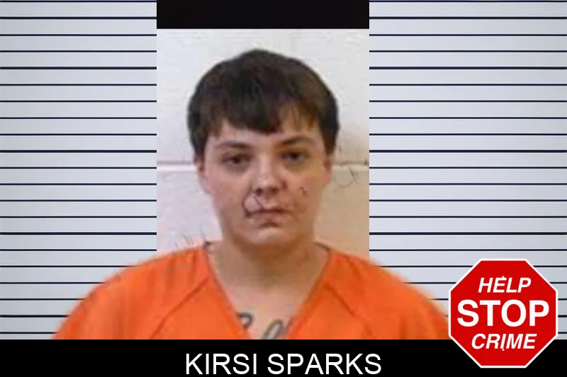 Kirsi Sparks mugshot – Polk County , Georgia Kirsi Sparks mugshot