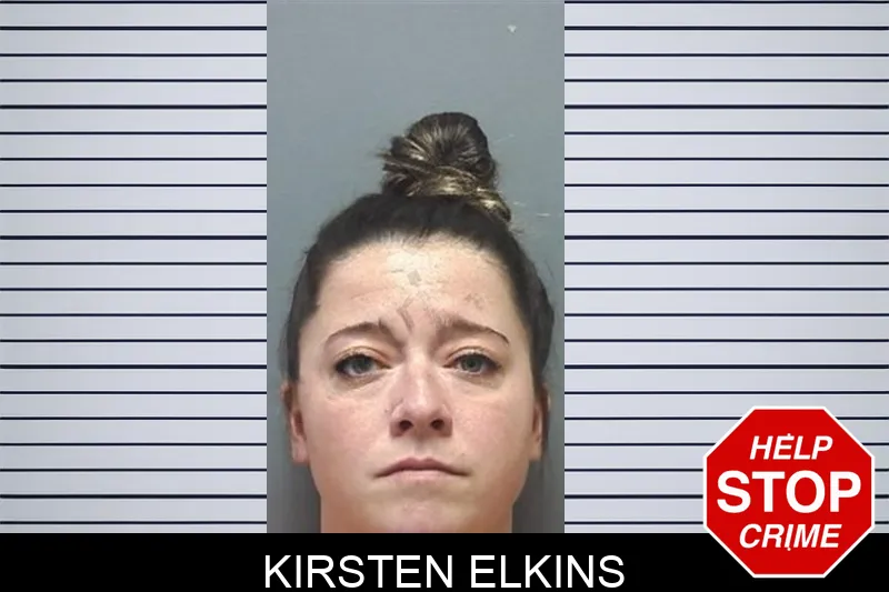 Kirsten Elkins mugshot – Cherokee County , Georgia Kirsten Elkins mugshot