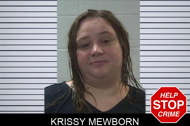 Krissy Mewborn mugshot