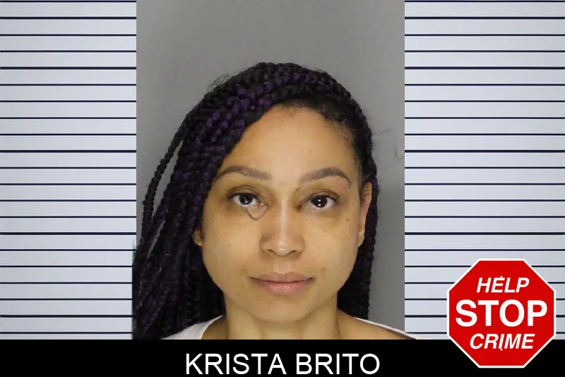 Krista Brito mugshot – Cobb County , Georgia Krista Brito mugshot