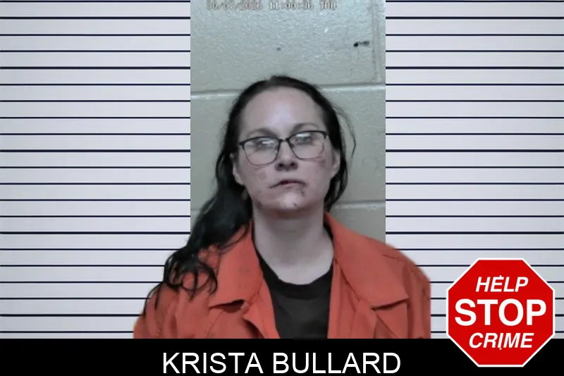 Krista Bullard mugshot