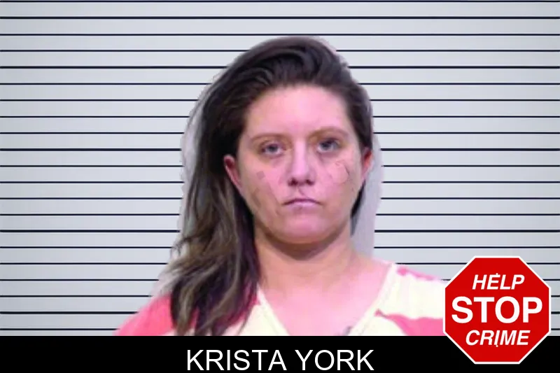 Krista York mugshot