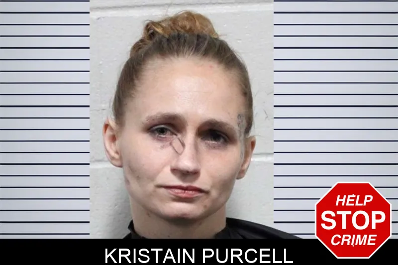 Kristain Purcell mugshot – Habersham County , Georgia Kristain Purcell mugshot