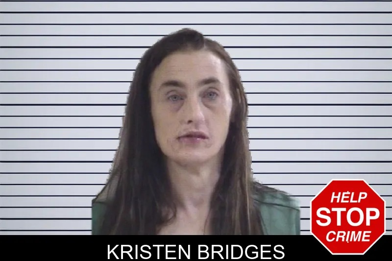 Kristen Bridges mugshot
