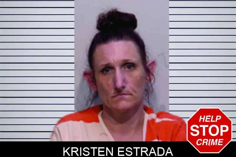 Kristen Estrada mugshot – Bartow County , Georgia Kristen Estrada mugshot