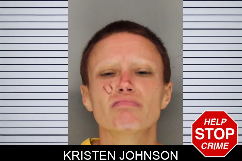 Kristen Johnson mugshot – Cobb County , Georgia Kristen Johnson mugshot