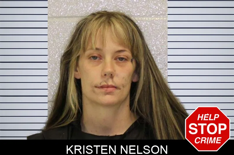 Kristen Nelson mugshot – Carroll County , Georgia Kristen Nelson mugshot