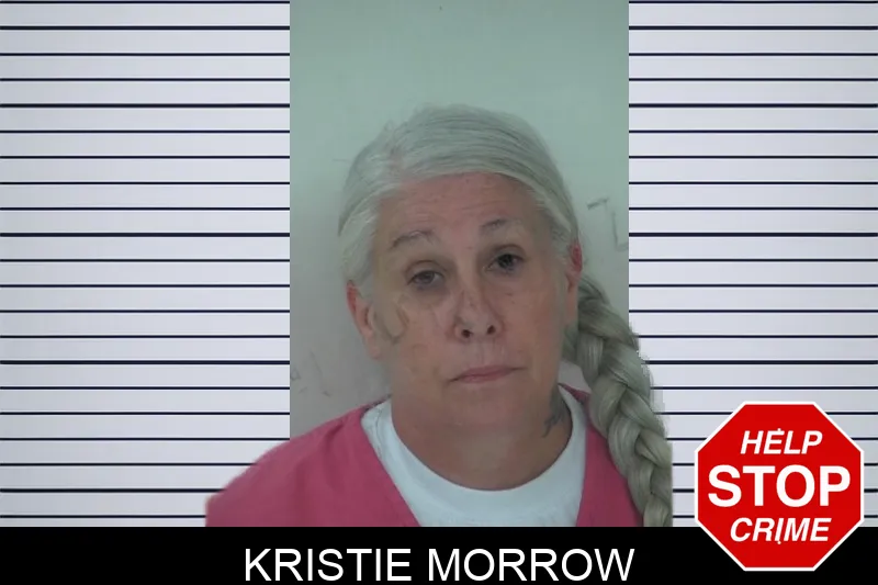 Kristie Morrow mugshot – Fayette County , Georgia Kristie Morrow mugshot