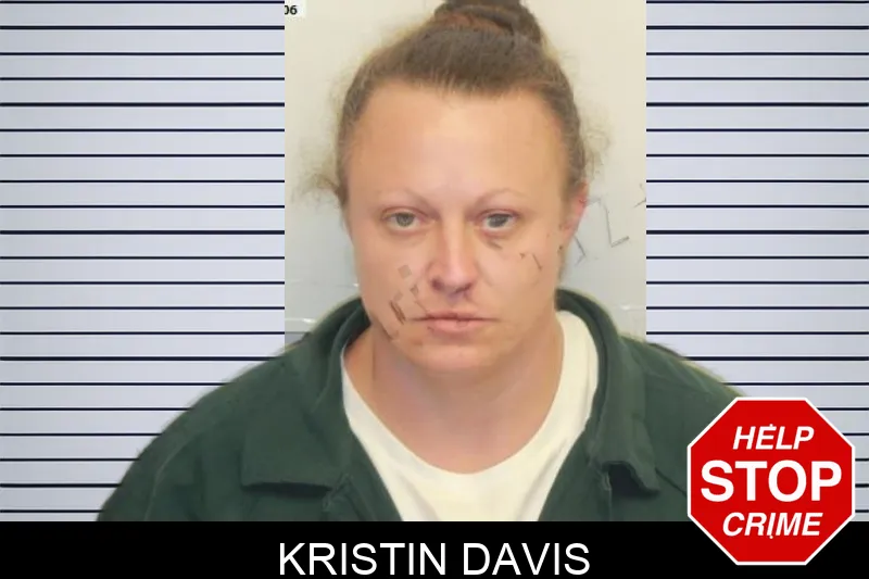 Kristin Davis mugshot