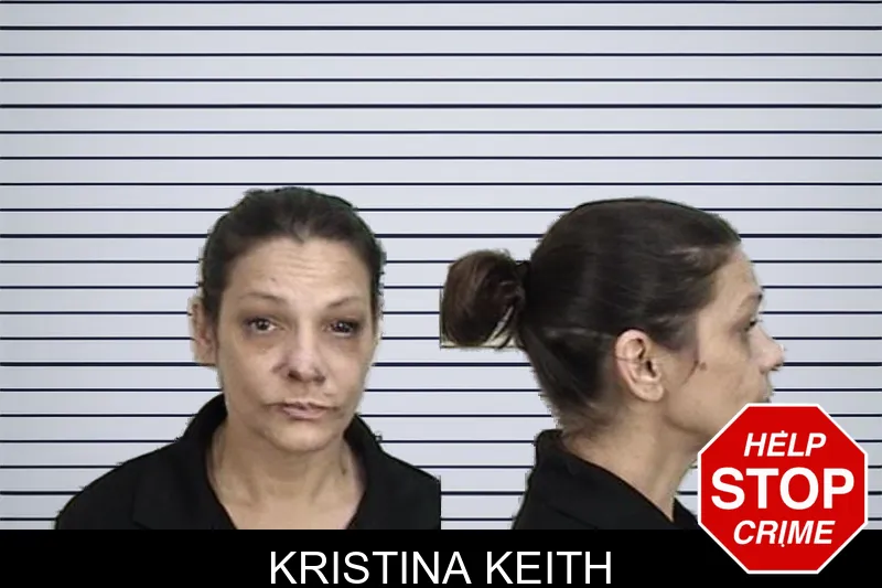 Kristina Keith mugshot – Camden County , Georgia Kristina Keith mugshot
