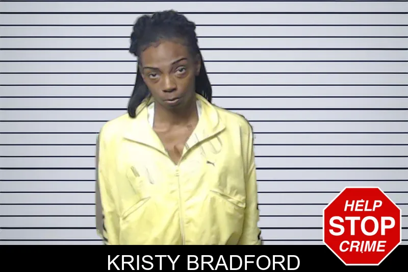 Kristy Bradford mugshot