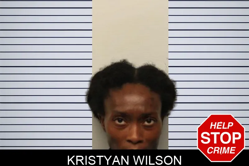 Kristyan Wilson mugshot
