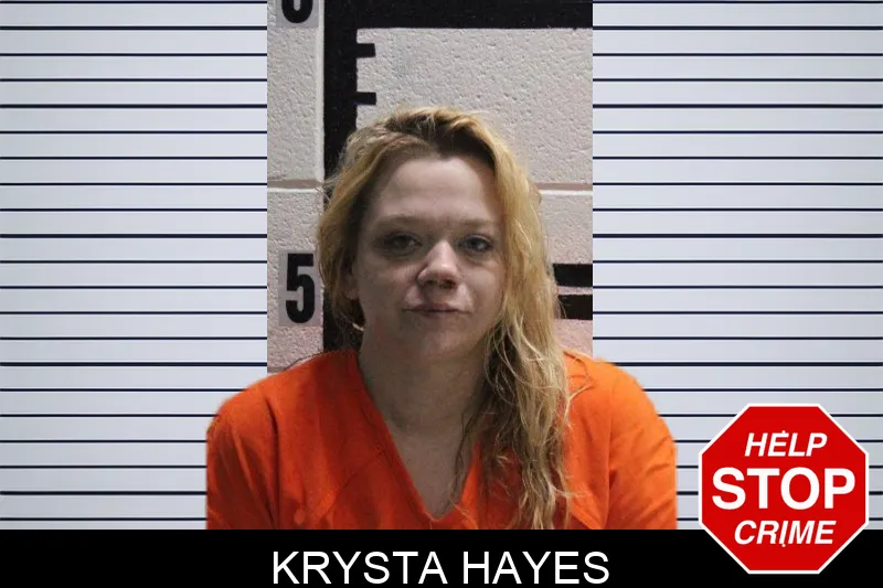 Krysta Hayes mugshot