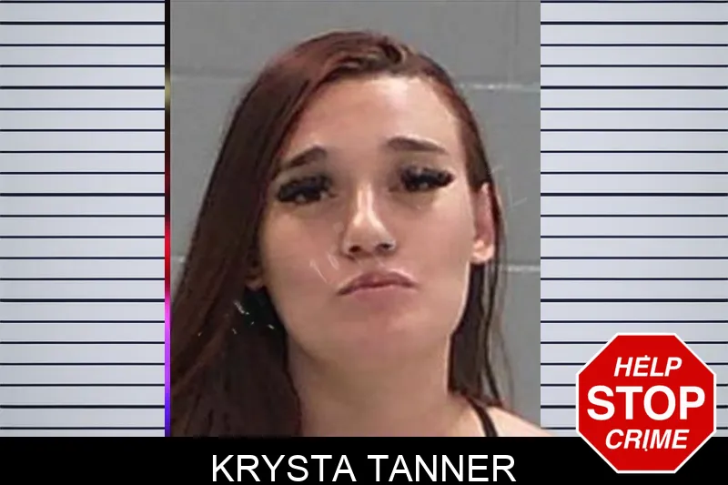 Krysta Tanner mugshot