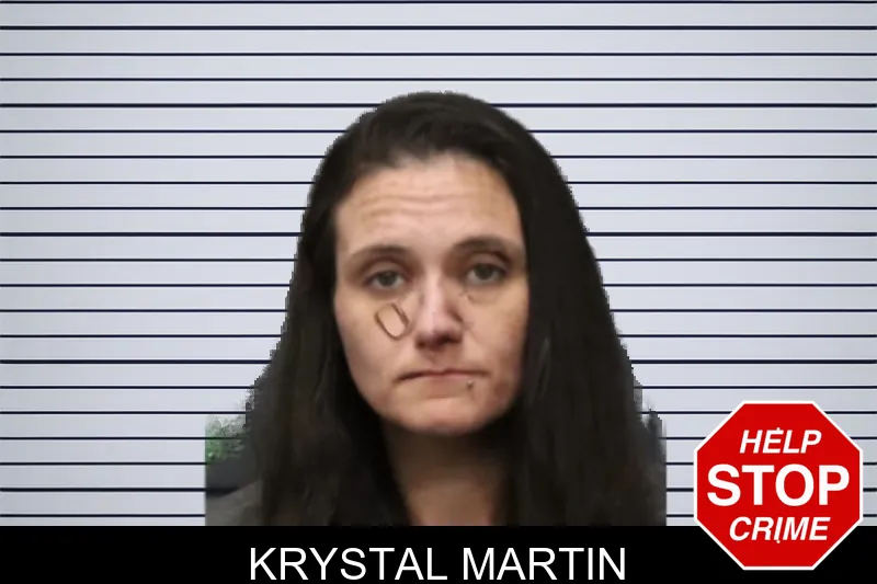Krystal Martin mugshot – Forsyth County , Georgia Krystal Martin mugshot