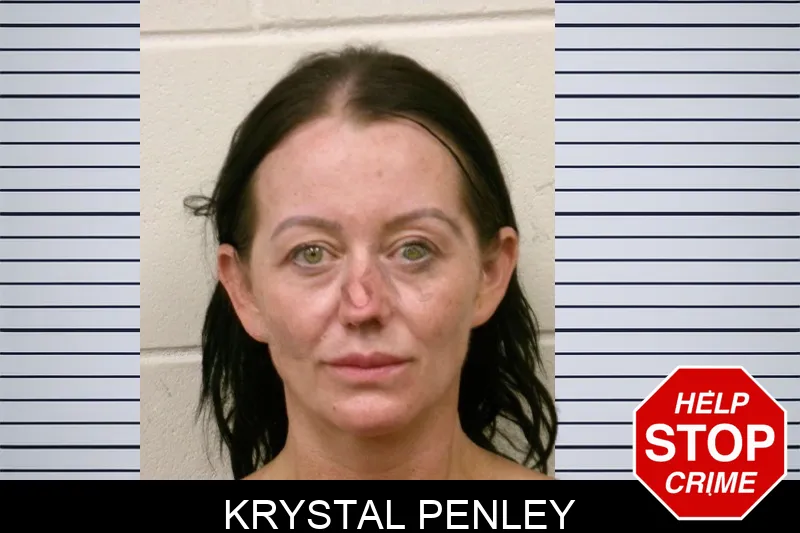 Krystal Penley mugshot – Bulloch County , Georgia Krystal Penley mugshot