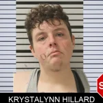 Krystalynn Hillard mugshot – Toombs County , Georgia Krystalynn Hillard mugshot