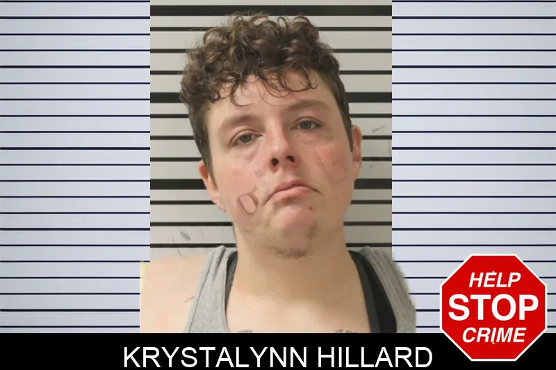 Krystalynn Hillard mugshot – Toombs County , Georgia Krystalynn Hillard mugshot