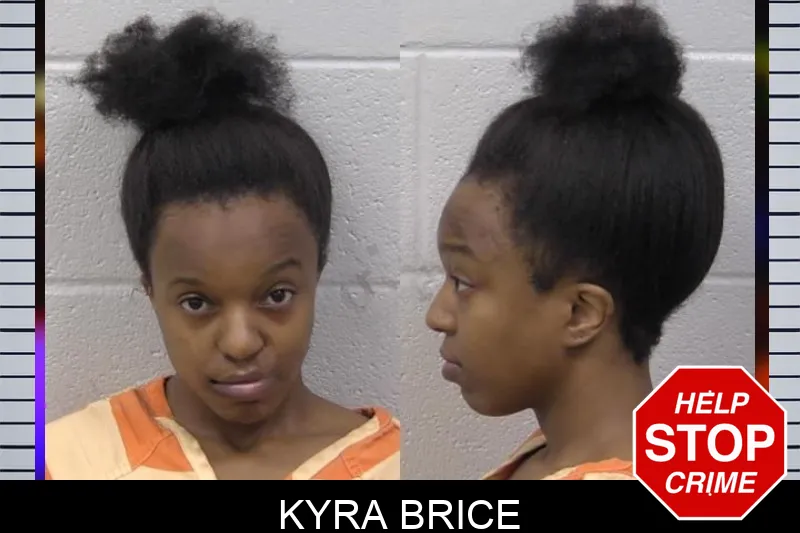 Kyra Brice mugshot
