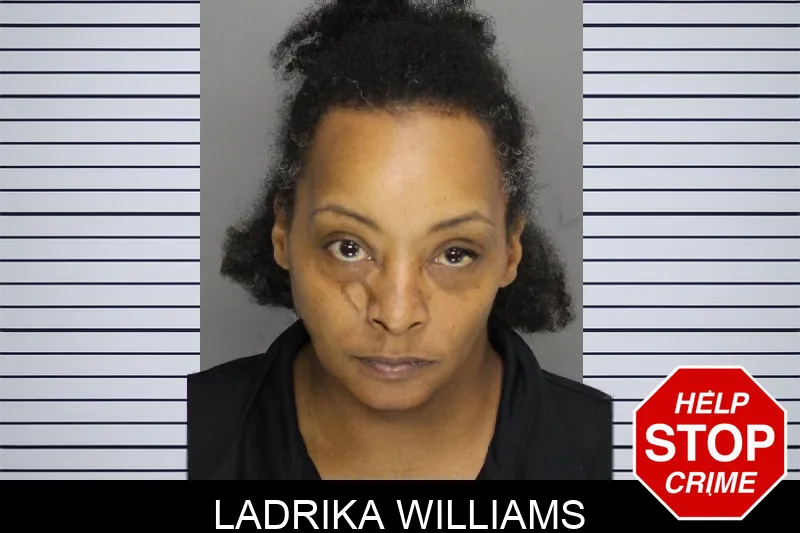 Ladrika Williams mugshot