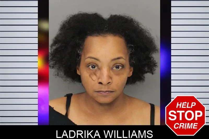 Ladrika Williams mugshot