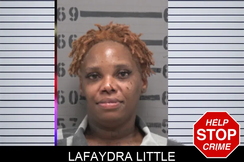 Lafaydra Little mugshot – Dougherty County , Georgia Lafaydra Little mugshot