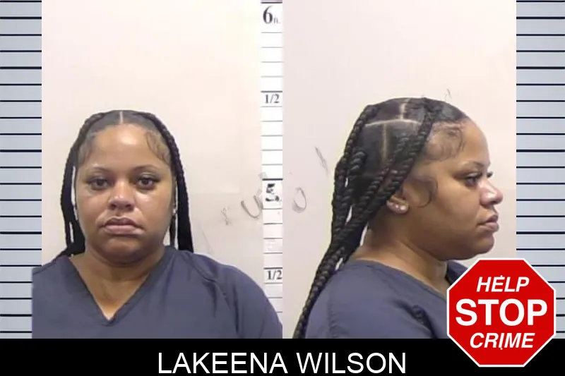 Lakeena Wilson mugshot