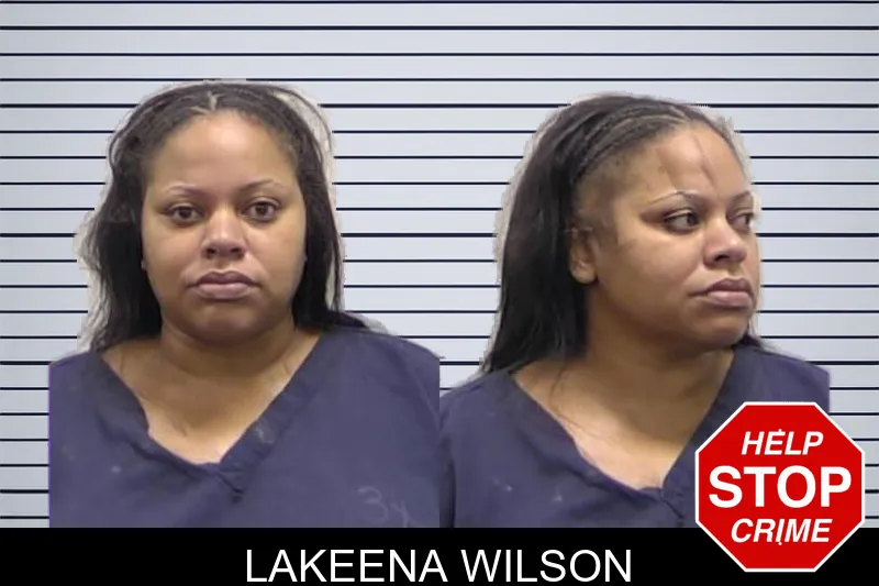 Lakeena Wilson mugshot