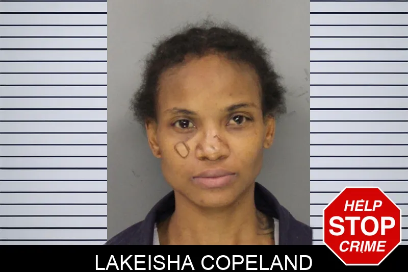 Lakeisha Copeland mugshot – Cobb County , Georgia Lakeisha Copeland mugshot