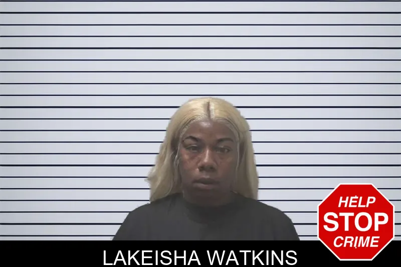 Lakeisha Watkins mugshot