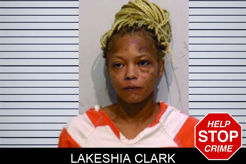 Lakeshia Clark mugshot