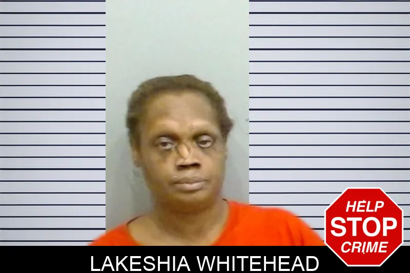 Lakeshia Whitehead mugshot