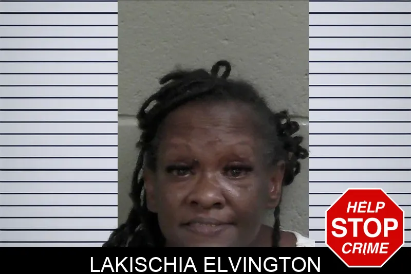 Lakischia Elvington mugshot – Wayne County , Georgia Lakischia Elvington mugshot