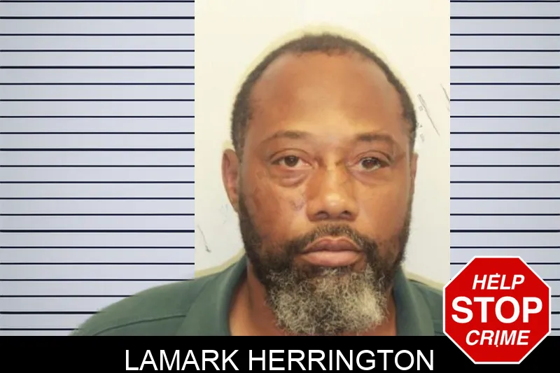 Lamark Herrington mugshot – Chatham County , Georgia Lamark Herrington mugshot