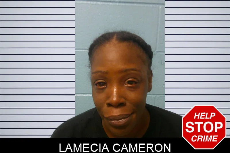 Lamecia Cameron mugshot – Franklin County , Georgia Lamecia Cameron mugshot