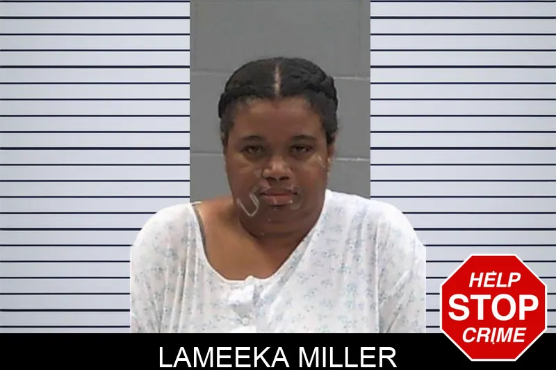 Lameeka Miller mugshot