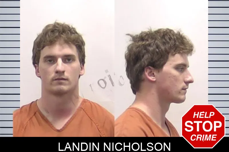 Landin Nicholson mugshot