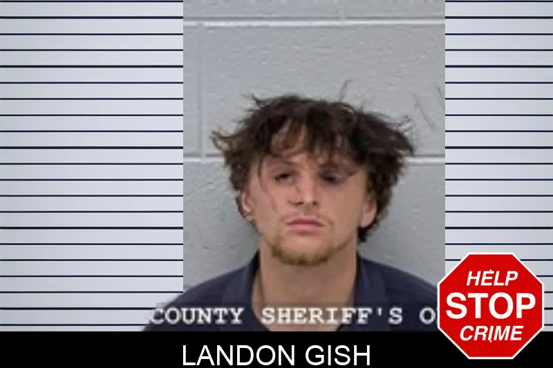 Landon Gish mugshot