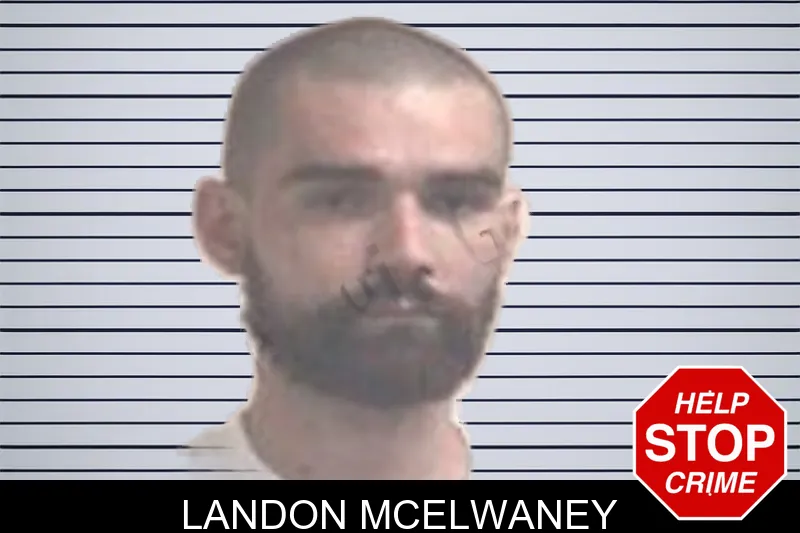 Landon McElwaney mugshot
