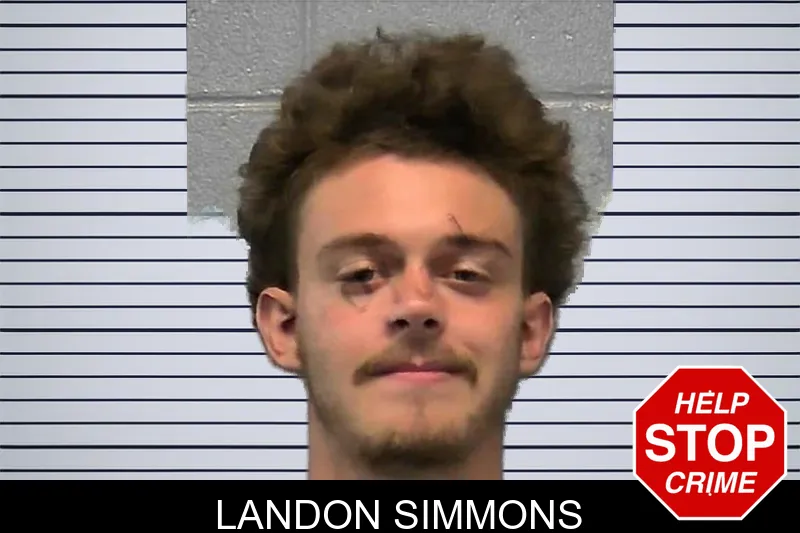 Landon Simmons mugshot