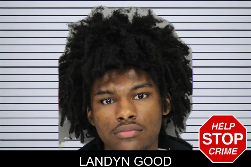 Landyn Good mugshot